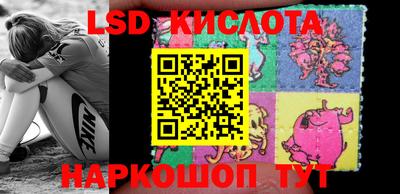 a pvp Бердск
