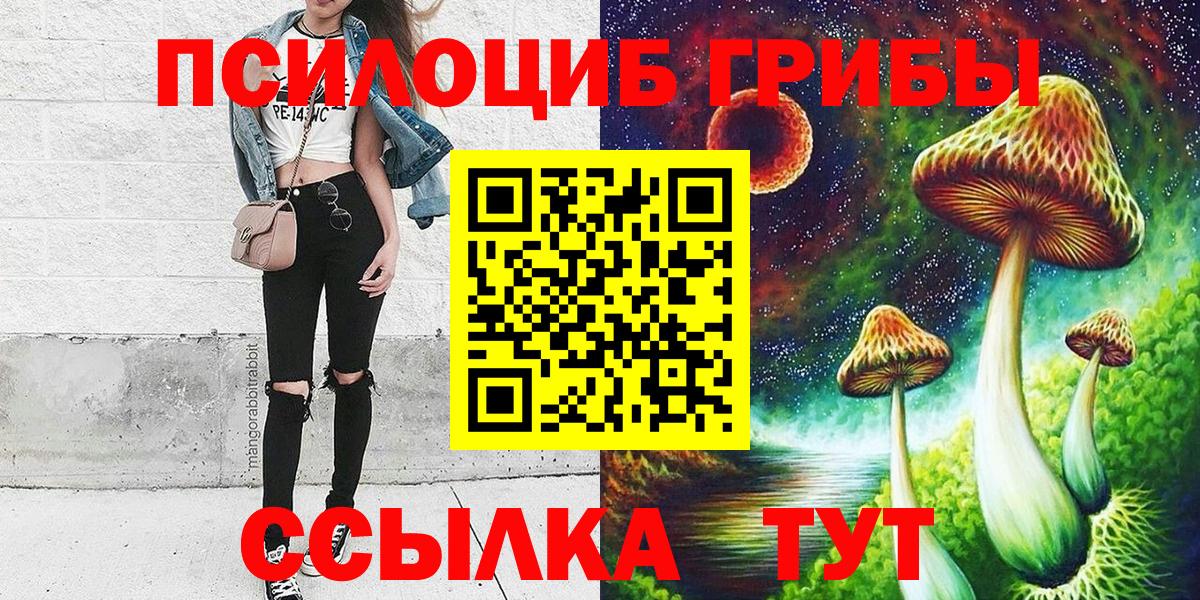 Галлюциногенные грибы Psilocybe  закладка  Вязники  Вход с VPN 