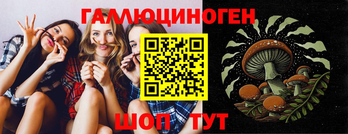 Псилоцибиновые грибы GOLDEN TEACHER Вязники